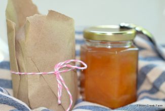 Homesteading After Retirement: Part 6